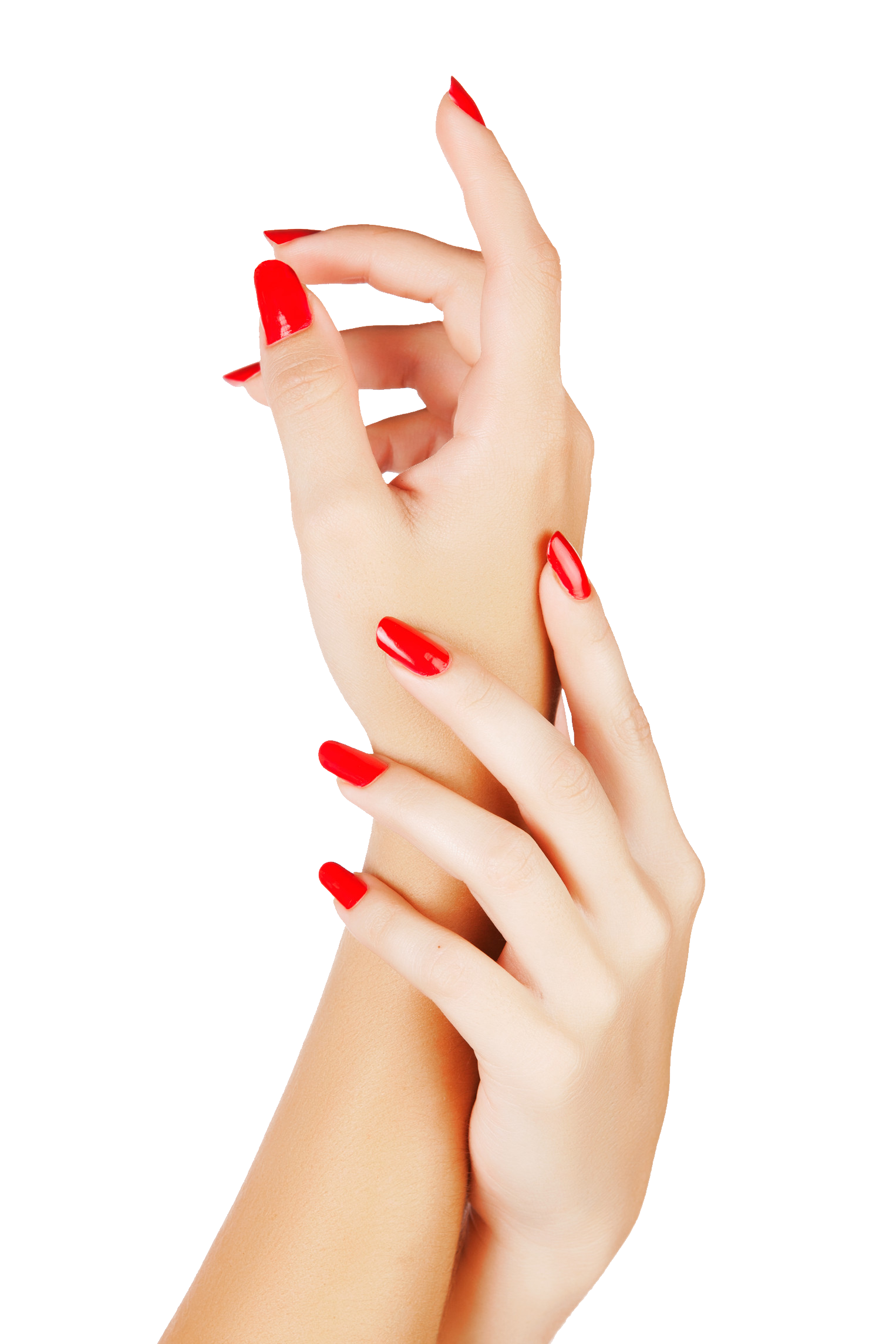 cc0 hands transparent3.png